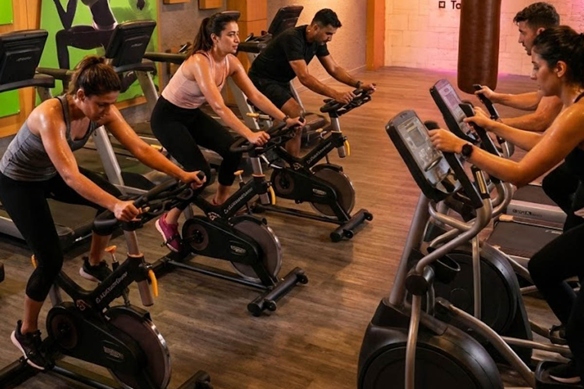 Kardiyo Programları